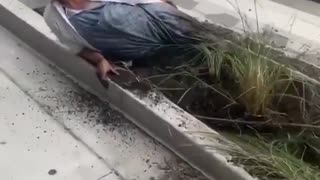 Crazy person buries herself in dirt during protest