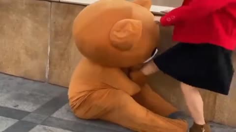 Funny Teddy Bear Video