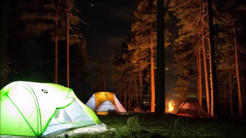 Camping Ambiance | Calming Sounds of Nature Under the Night Sky | 2 hrs