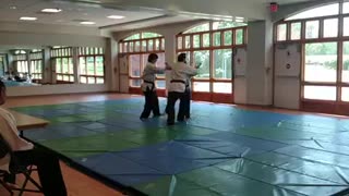 Hapkido