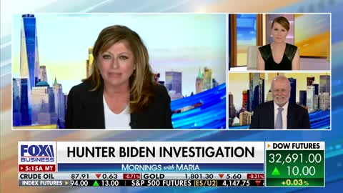 'DEEPLY TROUBLING': FBI director Christopher Wray admits alleged bias in Hunter Biden probe