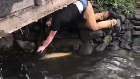 Saving a fish suck in shallow water 🐟