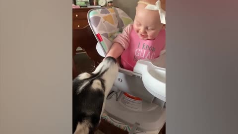 Cute Babies Playing With Dogs Compilation