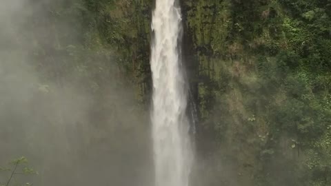 Akaka Falls in Kona