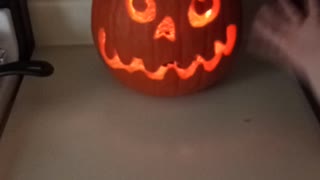 The Pumpkin My little on and I made