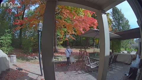 Video Doorbell Captures Funny Moment, Sometimes You Just Need a Laugh |