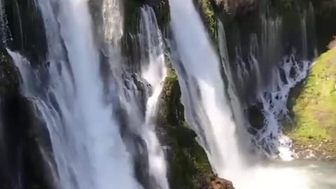 Beautiful Amazing Nature Waterfall #Short Video