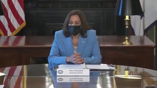 Kamala Feels The Need To Tell Us She's A "Woman... Wearing A Blue Suit"