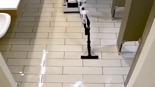 Cleaning Robot