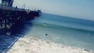 San Clemente Pier