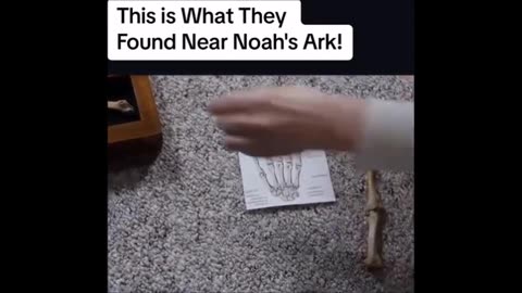 Des ossements humains géants découverts près de l'emplacement possible de l'arche de Noé en Turquie