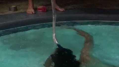 Guy chugs beer underwater in a pool