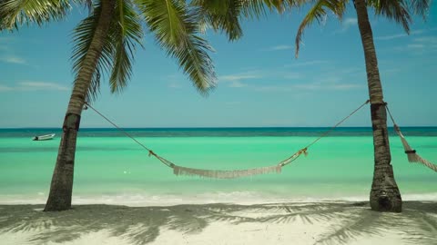 Calm Tropical Beach Relax on a hammock with Wave Sounds