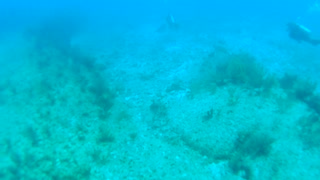 Cancun Mexico Carribean Scuba Diving Part 8