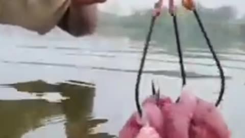 Unbelievable Technique Big Fishing Bottle Hook Trap