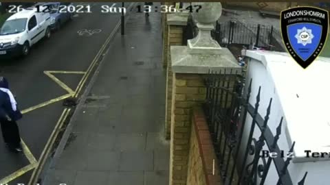 Woman Throws Stones at Jewish School in London