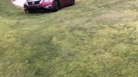 Car gone rogue on Golf Course