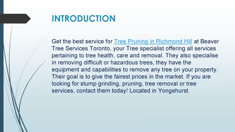 Get the best service for Tree Pruning in Richmond Hill