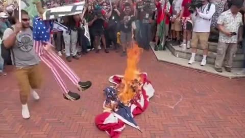 Capital Hill: Rioters have TORN DOWN & BURNED American flags, raised PALESTINE FLAG