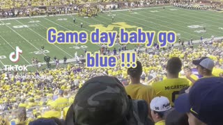 Go Michigan