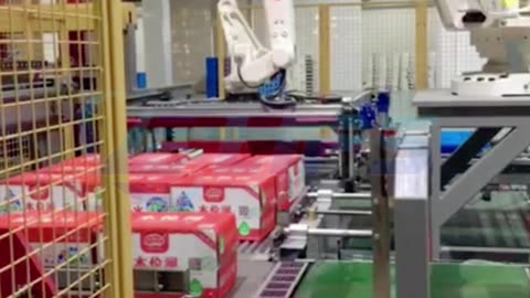 Robot carton packer with roller type gripper #packer#casepacker#robot#foryou#machine