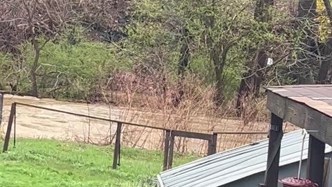 Jet Skiing in Flooded Creek