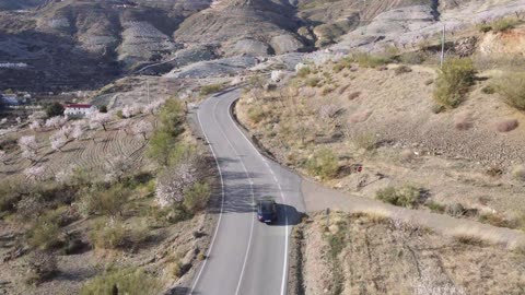 Almonds and Porsches