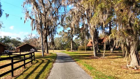 A drive through Reddick Florida, Old Florida!