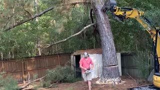 Felled Tree Falls On Fence And Shed