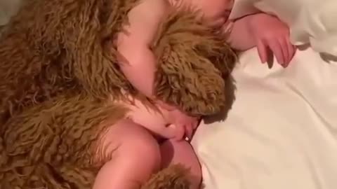 OMG ! This is so funny how baby sleeping with dog