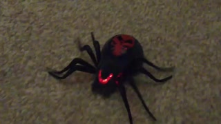 Scary mutant spider charges