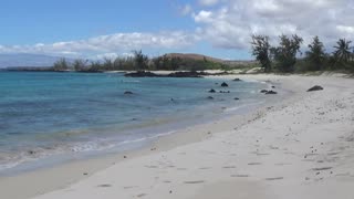 Kailua-Kona, HI — Makalawena Beach