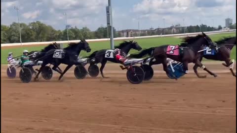 Canadian horse race video compilation 2021