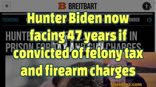 Better late than never, Hunter Biden facing 47 years if convicted on new felony charges-SheinSez 376