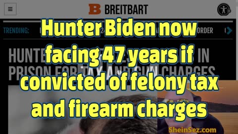 Better late than never, Hunter Biden facing 47 years if convicted on new felony charges-SheinSez 376