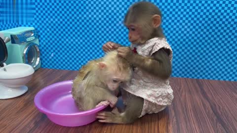 BiBi helps dad take care of baby monkey OBi 2022