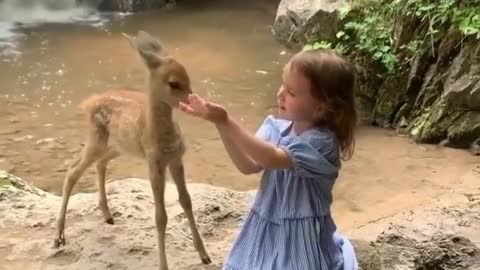 watch this cute kid feeding a bay deer 🦌🦌 so adorable💖💖