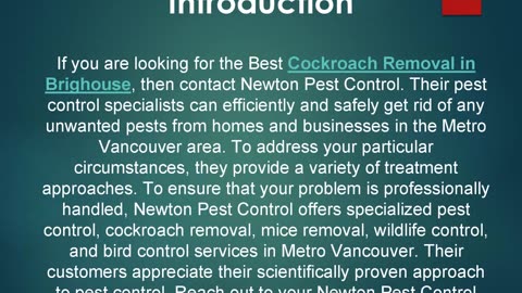 Best Cockroach Removal in Brighouse