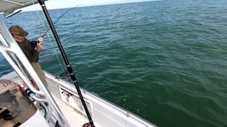 Gag and Red Grouper Fishing off Bayport Florida/Weeki Wachee River