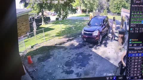 Quick Thinking Boy Dodges an Old Falling Tree