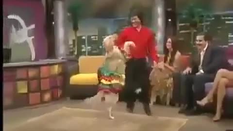 Dog very funny special dance