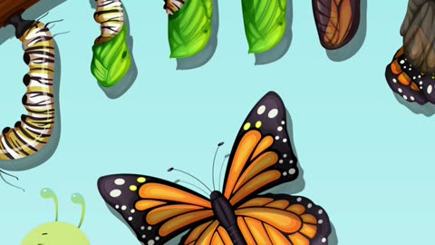 Life Cycle of a Butterfly _ From Caterpillar to Butterfly _#kids#science#education#shorts#ytshorts