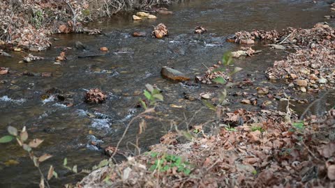 Flowing Stream