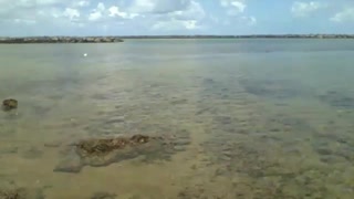 Filming in the shallows around the rocks in the sea, a beautiful place! [Nature & Animals]