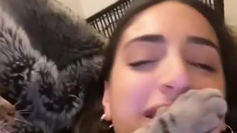 Jealous cat tries stopping its hooman from calling another feline. Watch viral video