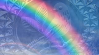 The Rainbow Bird by Carol Ann Henderson