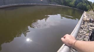 Fishing a SPILLWAY for CARP with the family.