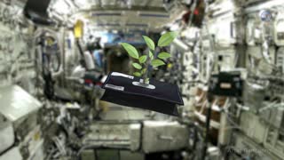 🧑🏻‍🚀ScienceCasts: Space Gardening🧑🏻‍🚀