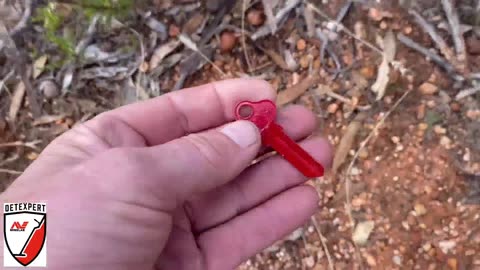 Token Hunt Wedderbourne Metal Detecting