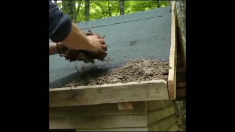 Build a house from old pallets